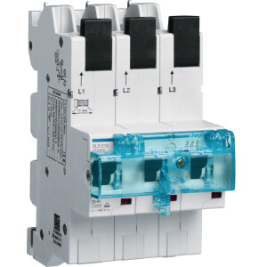 HAGER HTS340E SLS-Schalter, 3-polig, E, 40A, f&uuml;r...